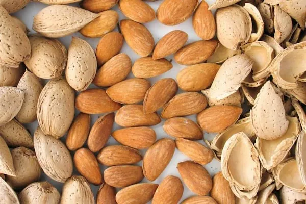 خرید و قیمت روز بادام درختی خام